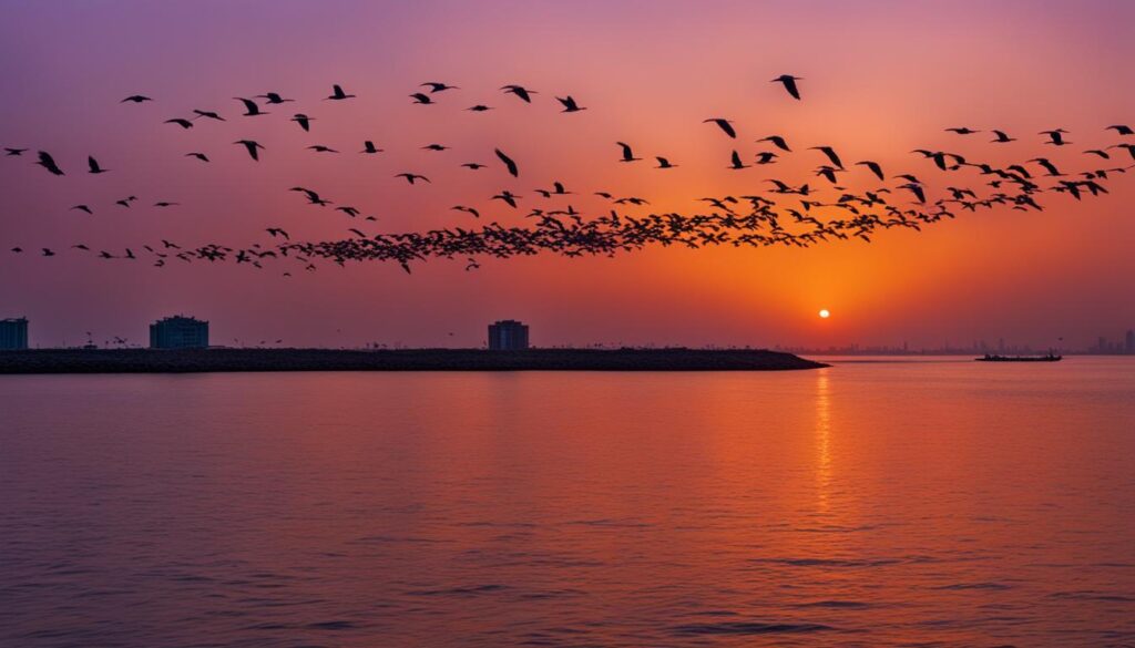Migratory birds in Bahrain