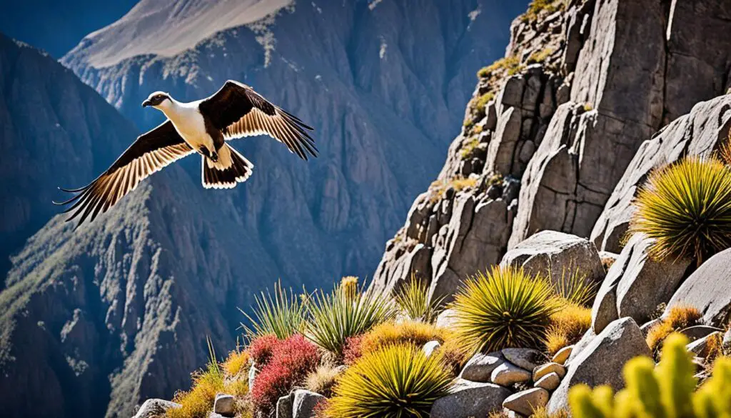 Andes mountain animals