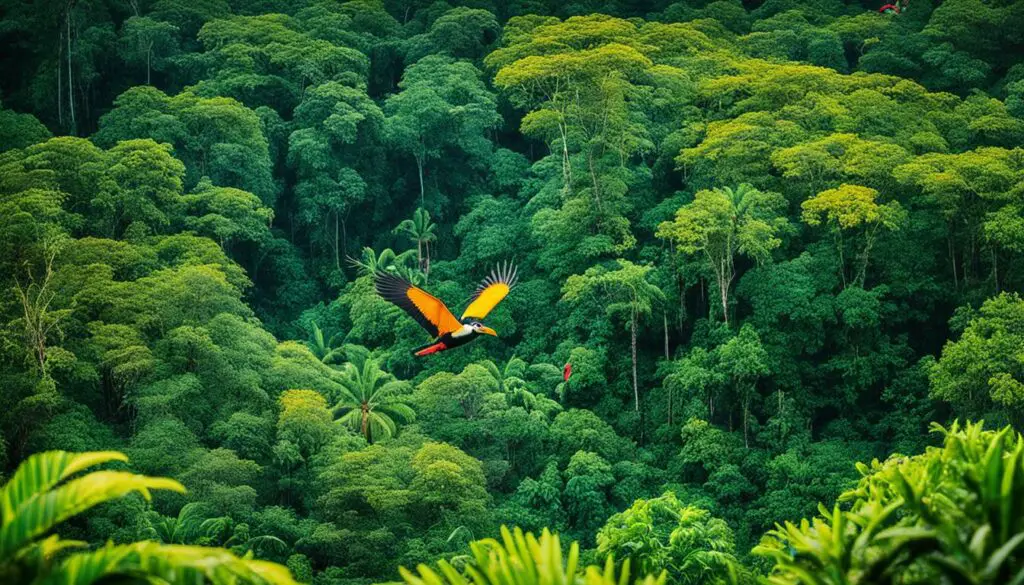 Panama biodiversity